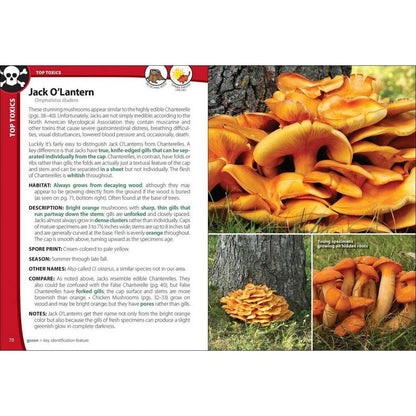 AdventureKEEN Mushrooms of the Northeast-Books - Books-Appalachian Outfitters
