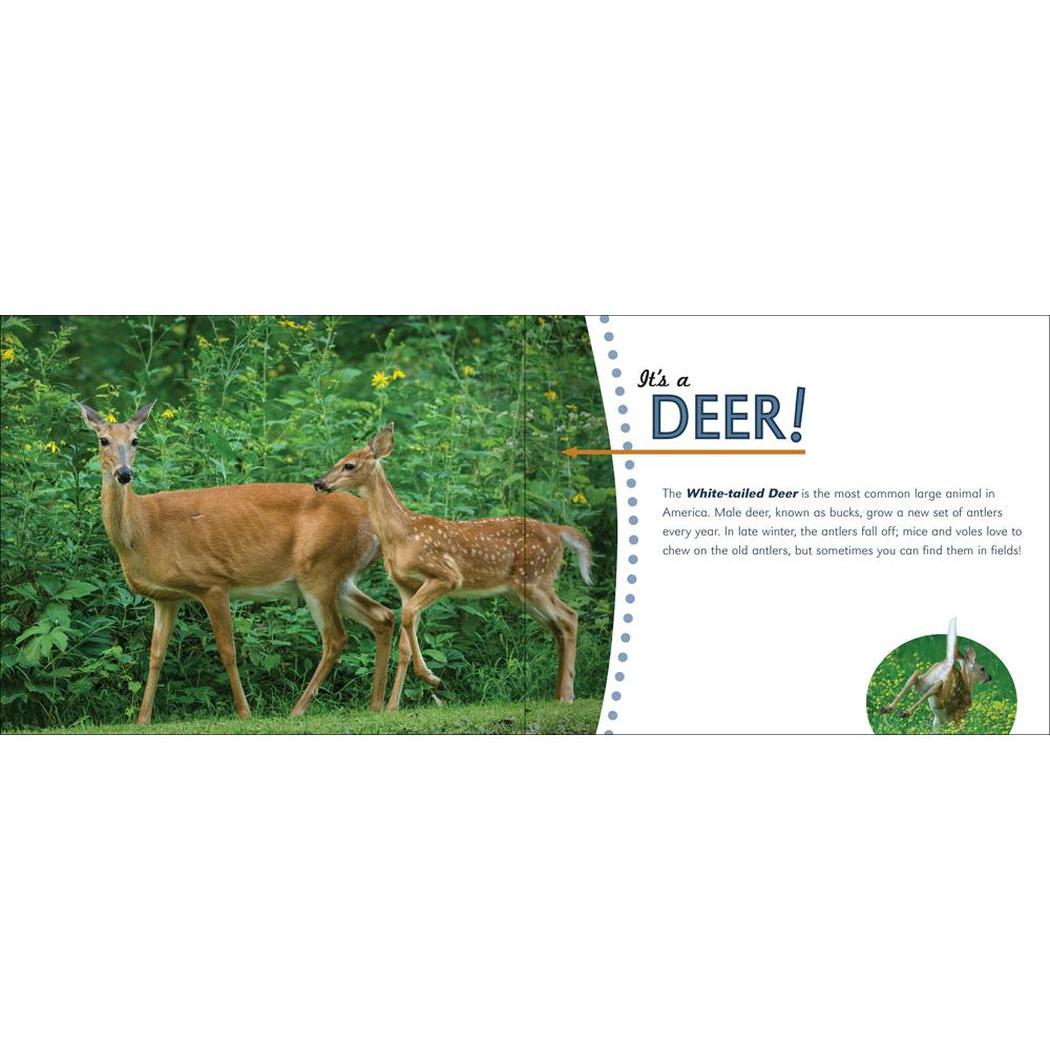 AdventureKEEN Whose Track Is That?-Books - Books-Appalachian Outfitters