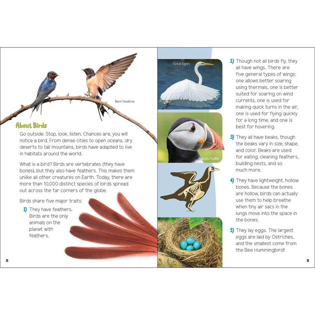 A book titled "Backyard Birding for Kids" open to a page showing bird illustrations and text about birds.