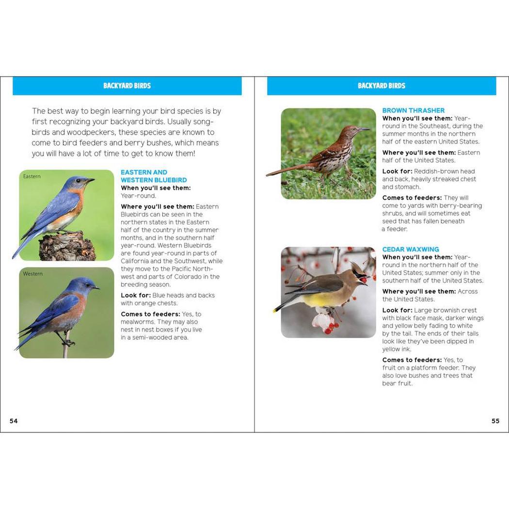 Backyard Birding for Kids-Books - Books-Appalachian Outfitters