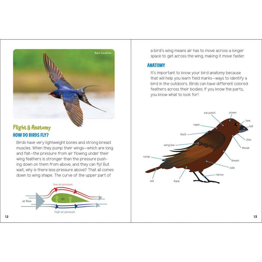 A book titled "Backyard Birding for Kids" with a bird diagram and flight anatomy text on the page.