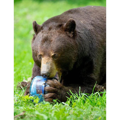 Bear Vault BV425 - Sprint-Food - Food Storage-Appalachian Outfitters