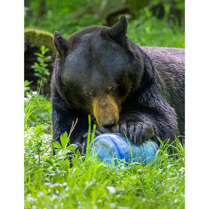 Bear Vault BV475 - Trek-Food - Food Storage-Appalachian Outfitters