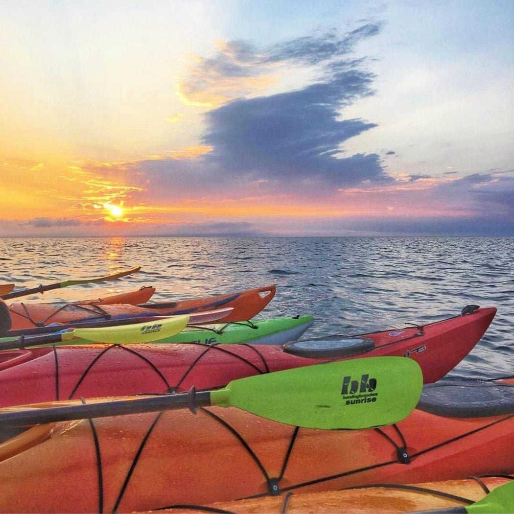 Bending Branches Sunrise Glass-Paddle Sports - Paddles-Appalachian Outfitters