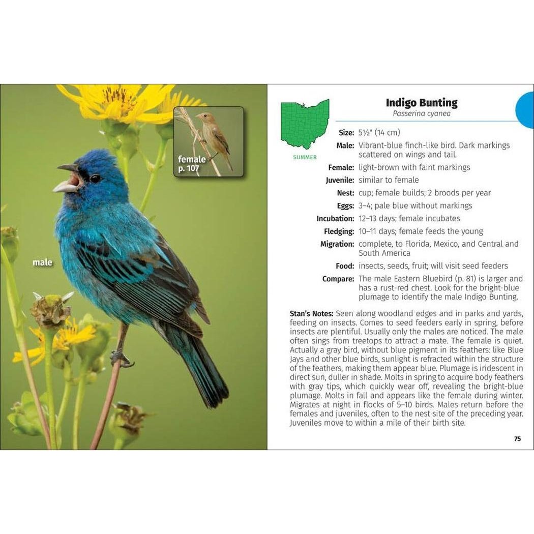 A photo of the Birds of Ohio Field Guide 3e showing a male Indigo Bunting on a yellow flower with the guide's text beside it.