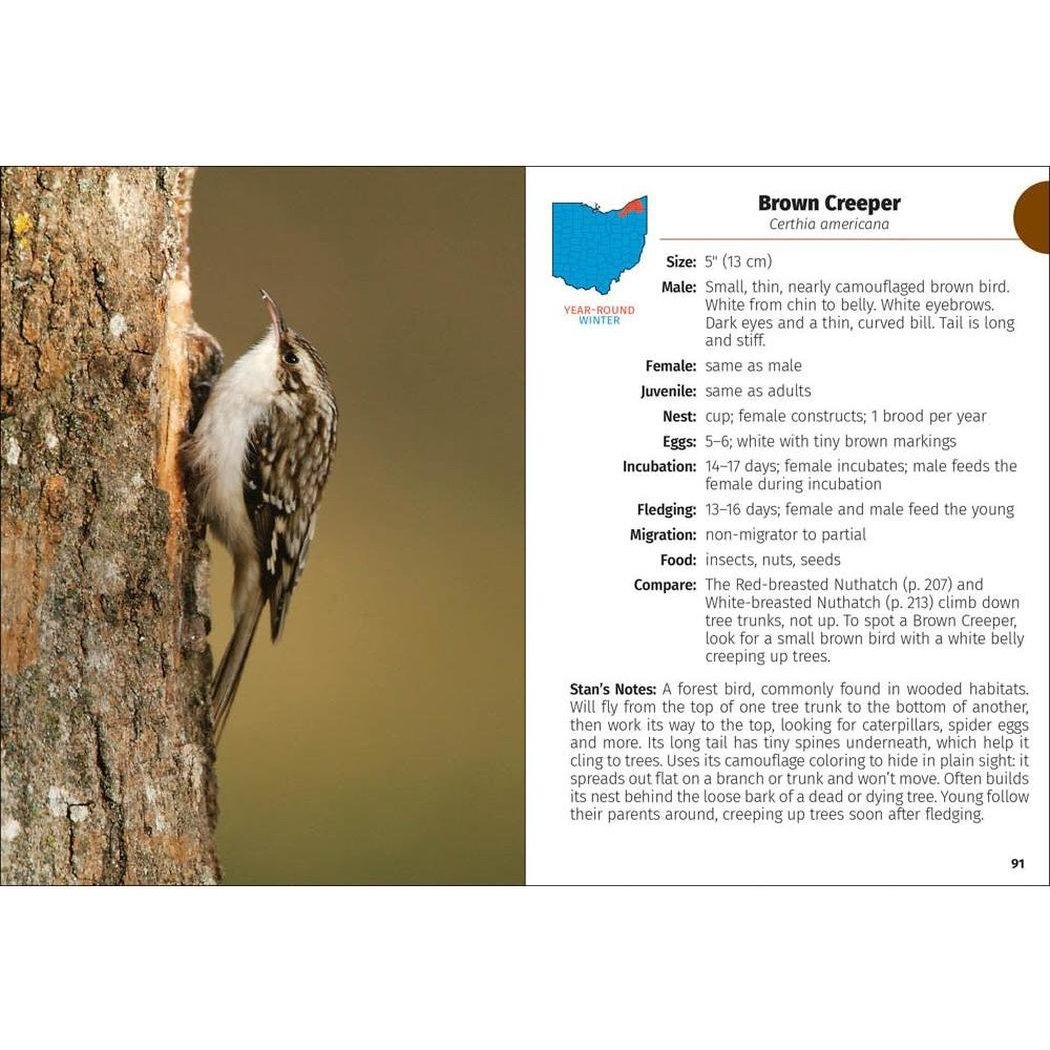 Brown Creeper page from Birds of Ohio Field Guide 3e showing the bird on a tree trunk with text details.