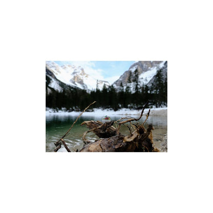 A close-up of the Brainstream USA BeepEgg - Camping with a snowy mountain and lake in the background.