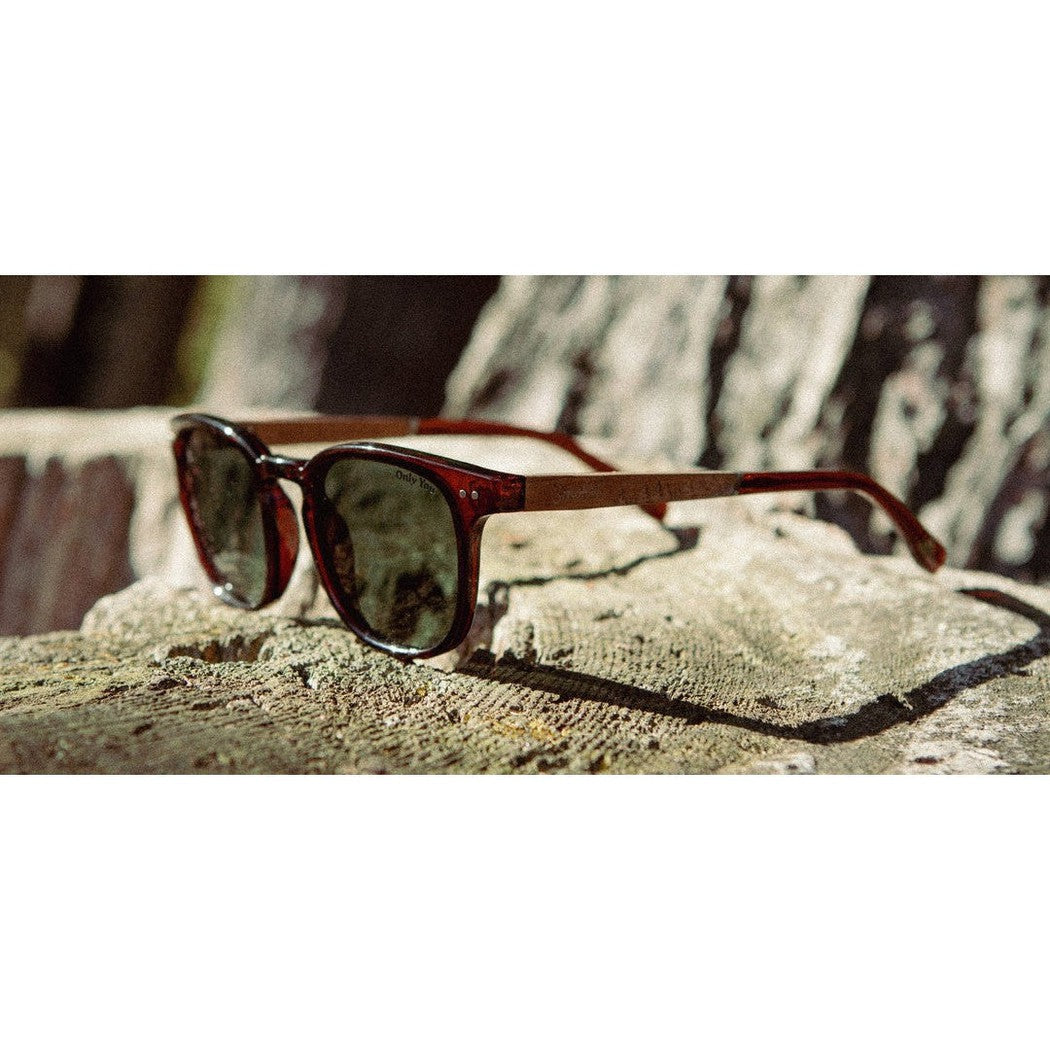 A side view of the Camp Eyewear Topo - Smokey Bear sunglasses in Clay resting on a textured stone surface with a tree trunk in the background.