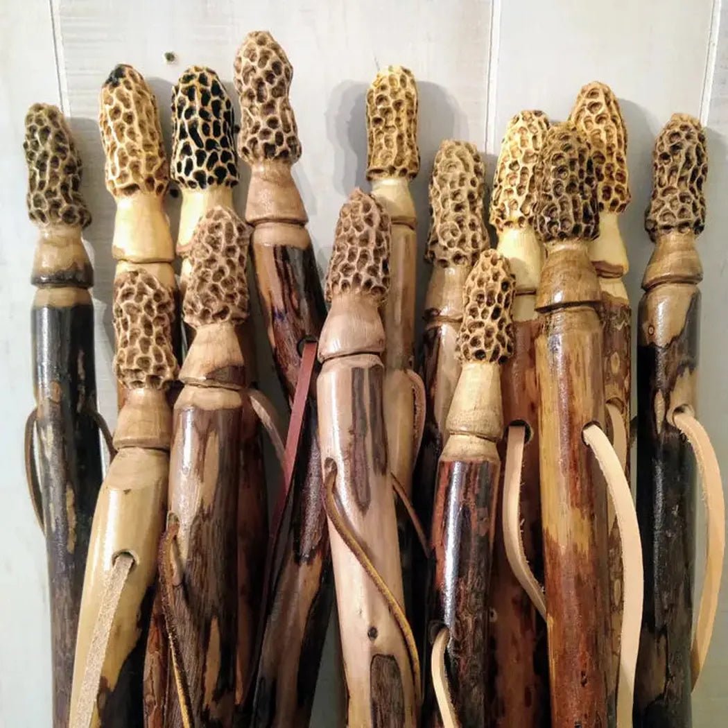 Creation Carvings Walking Stick with Morel Mushroom Carving-Camping - Trekking Poles - Walking Sticks-Appalachian Outfitters