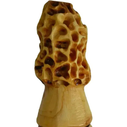 Creation Carvings Walking Stick with Morel Mushroom Carving-Camping - Trekking Poles - Walking Sticks-Appalachian Outfitters