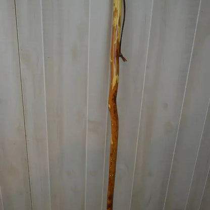 Creation Carvings Walking Stick with Owl Carving-Camping - Trekking Poles - Walking Sticks-Appalachian Outfitters