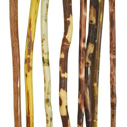 Side view of the Creation Carvings Walking Stick showing the natural wood grain patterns against a white background.