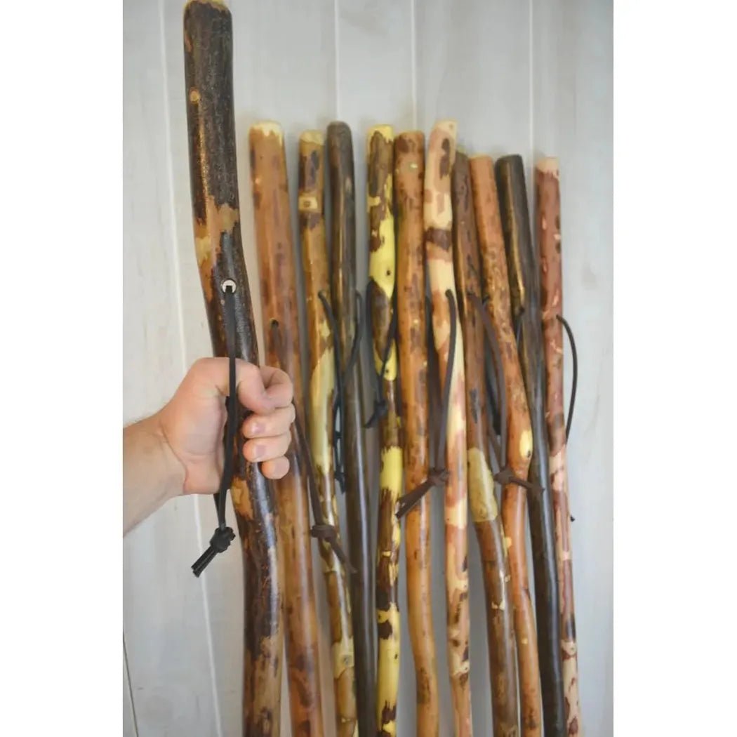 Creation Carvings Walking Stick-Camping - Trekking Poles - Walking Sticks-Appalachian Outfitters