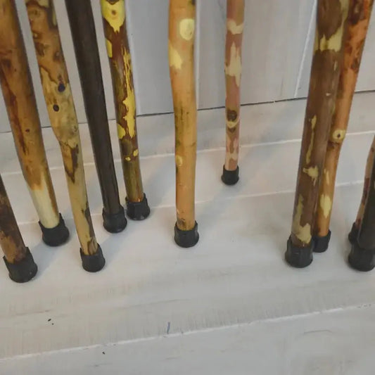Creation Carvings Walking Stick-Camping - Trekking Poles - Walking Sticks-Appalachian Outfitters