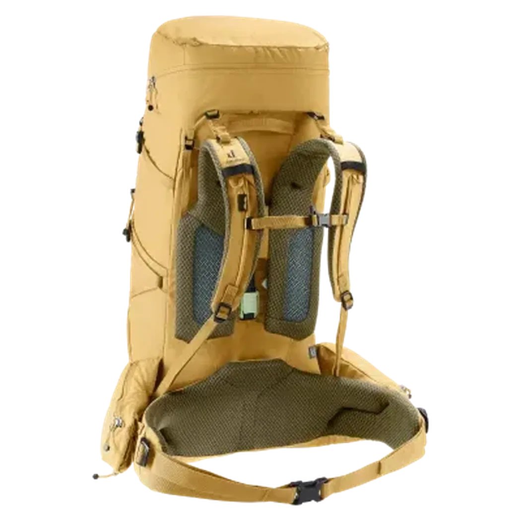 Back view of the Deuter Aircontact Core 45+10 SL in Savanna Nori showing padded shoulder straps and a mesh back panel against a white background.