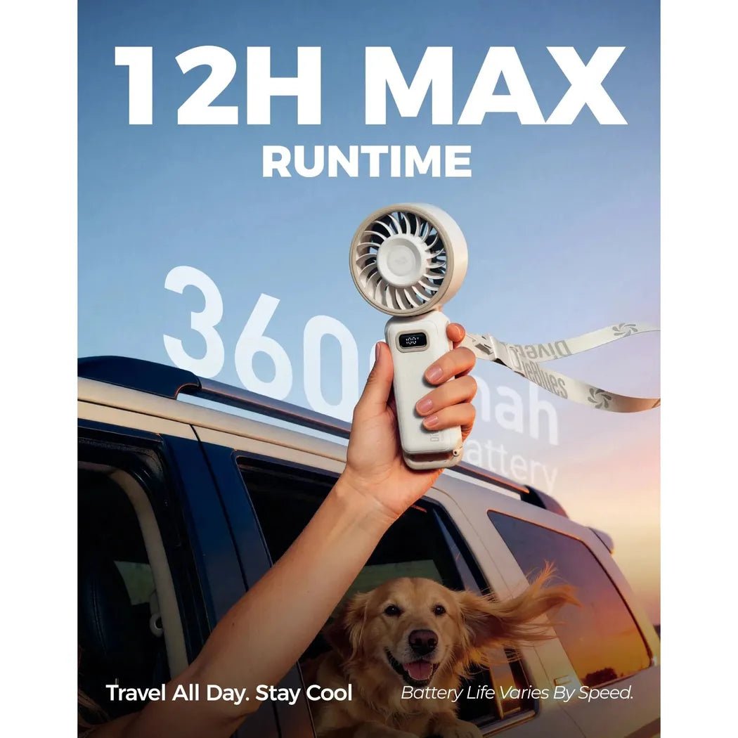 A hand holds the black Diveblues Fanzy Handheld Fan out of a car window with a dog in the background.