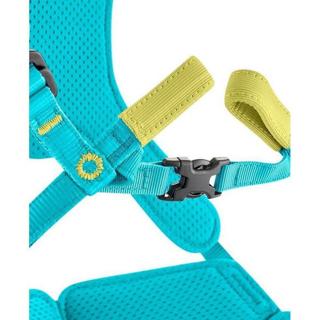 Edelrid Fraggle III-Climbing - Harnesses - Kids'-Appalachian Outfitters
