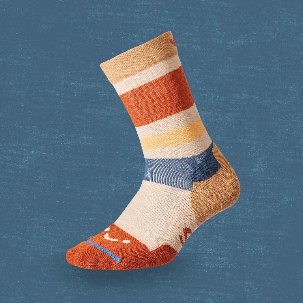 A side view of the FITS Light Cushion - Hermiston socks in Stone showing the colorful stripes and toe design against a blue background.