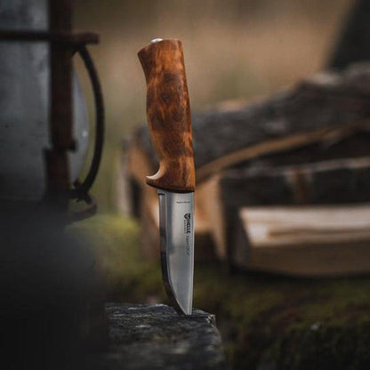 A close-up of the Helle Eggen 12C27 knife with a wooden handle, standing upright on a rock with a blurred outdoor background.