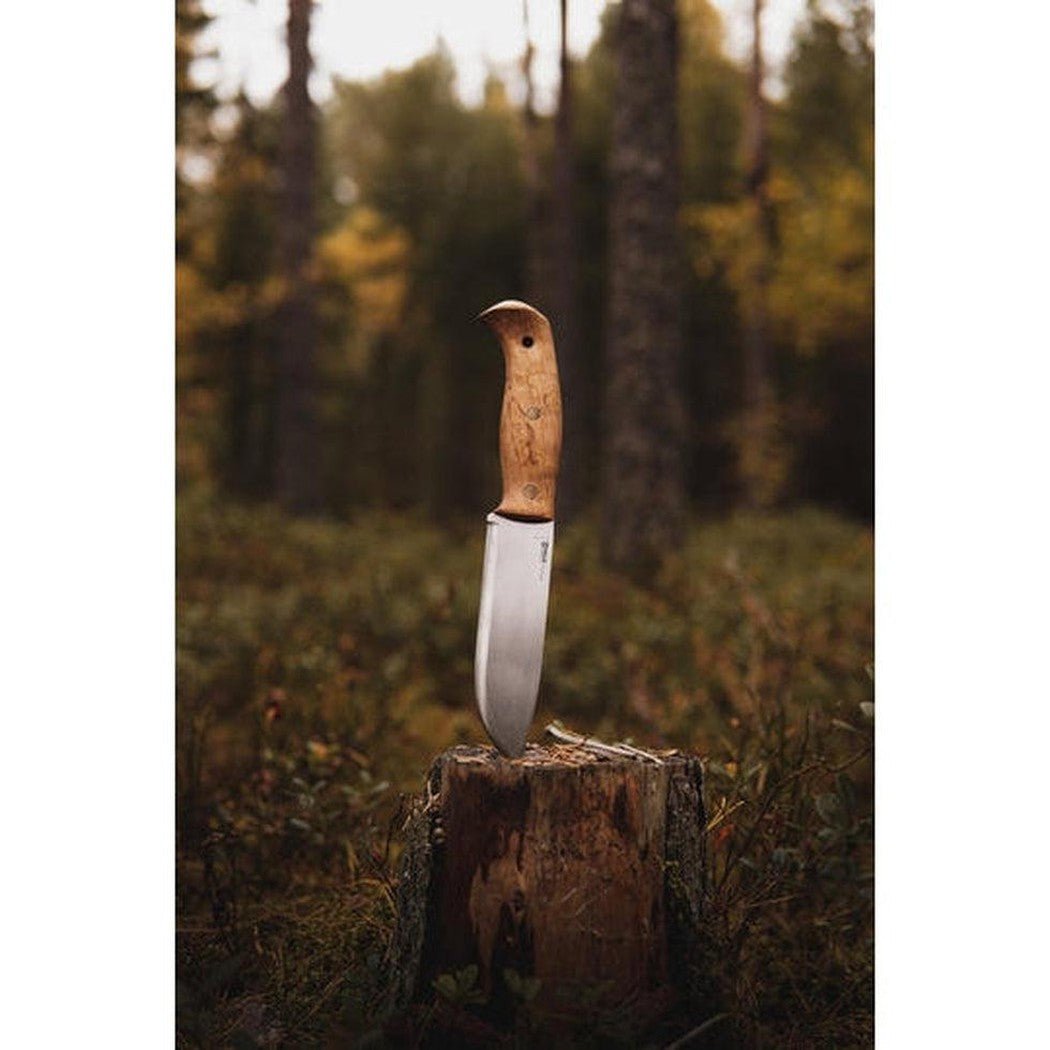 A Helle Nord knife with a wooden handle stands upright on a tree stump in a forest background.