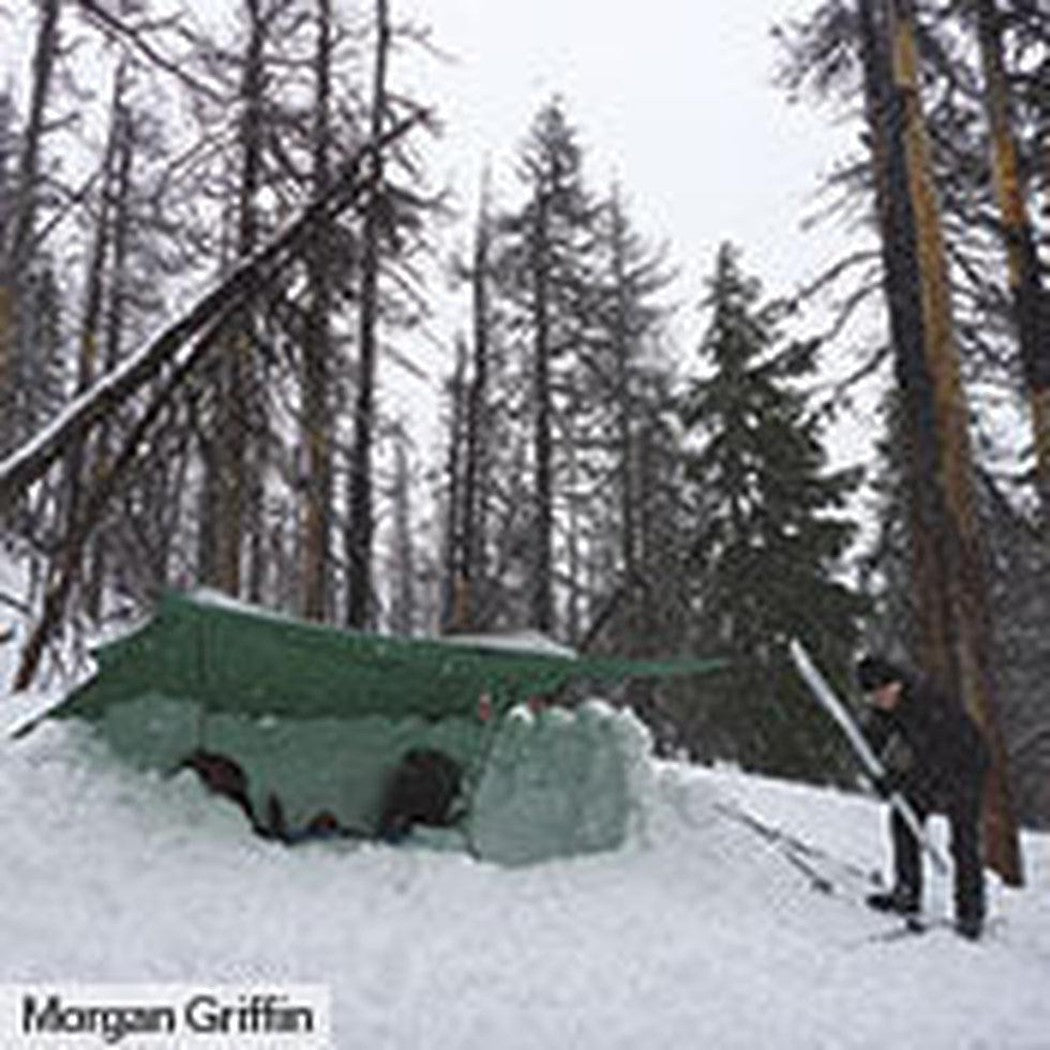 A person stands by a Green Hilleberg Tarp XP in a snowy forest with tall trees.