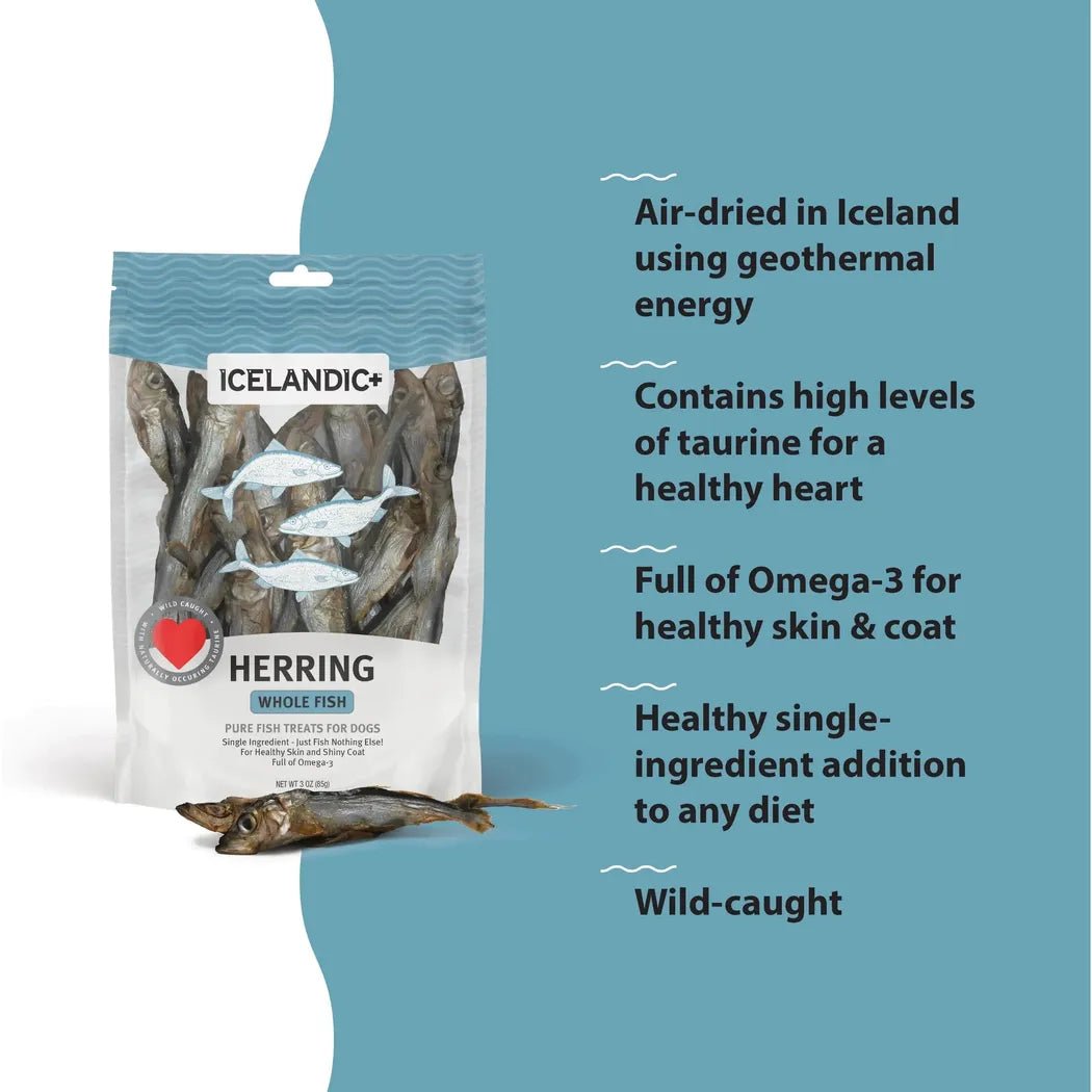 Icelandic+ Herring Whole Fish Dog Treats | 3-oz Bag-Pets - Treats-Appalachian Outfitters