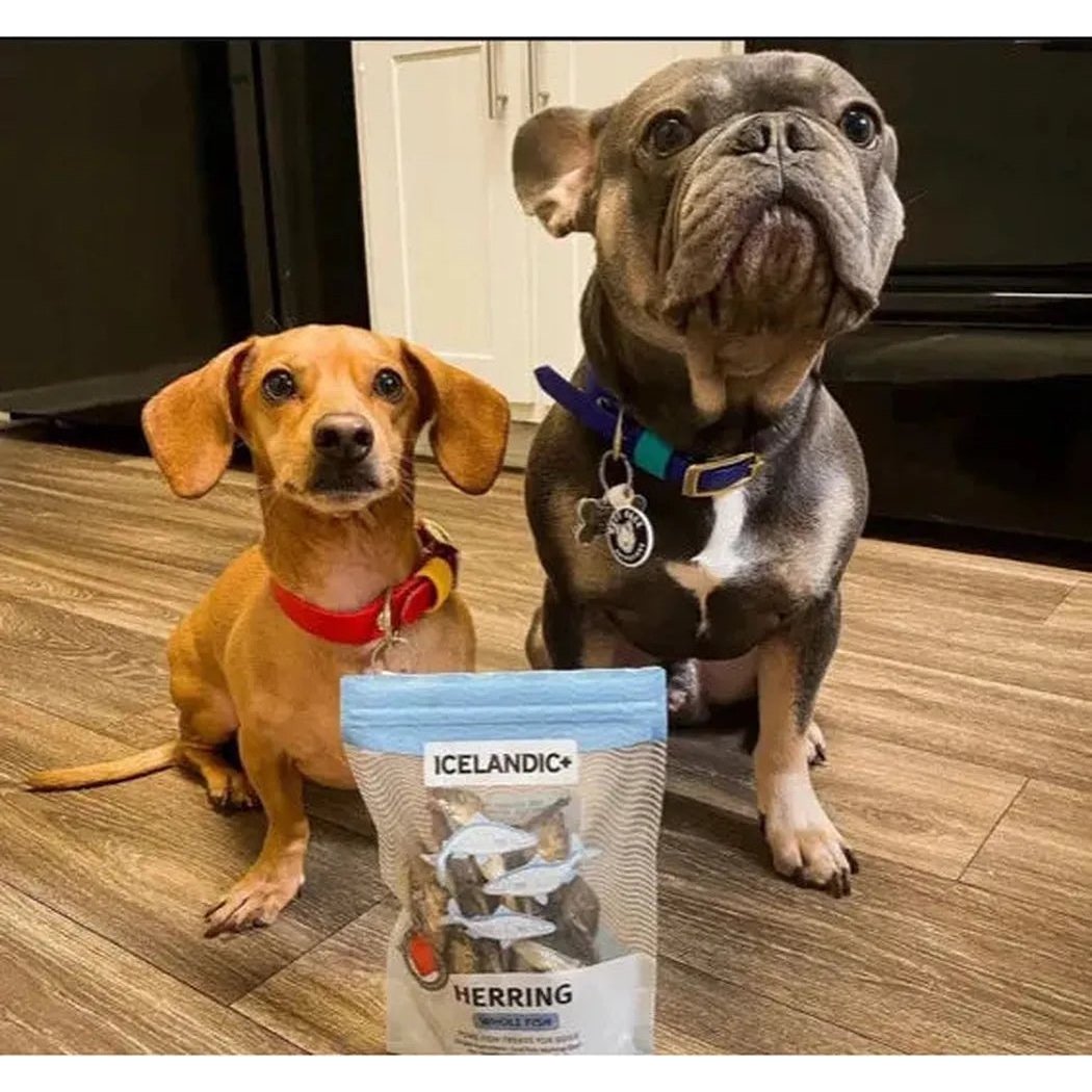 Icelandic+ Herring Whole Fish Dog Treats | 3-oz Bag-Pets - Treats-Appalachian Outfitters