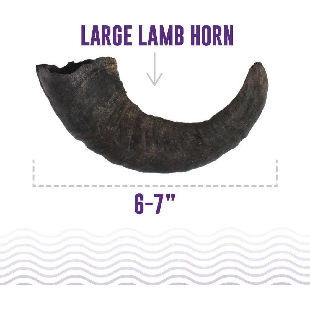 Icelandic+ Large Lamb Horn Dog Treat-Pets - Treats-Appalachian Outfitters