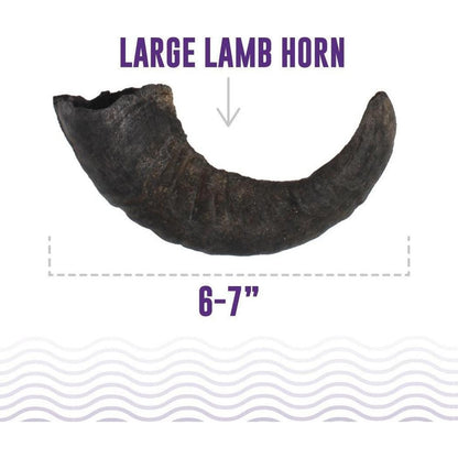 Icelandic+ Large Lamb Horn Dog Treat-Pets - Treats-Appalachian Outfitters