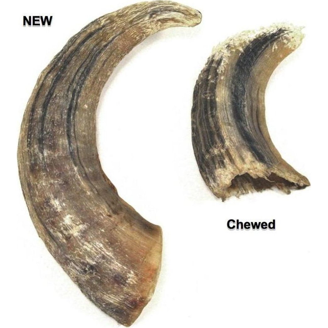 Icelandic+ Large Lamb Horn Dog Treat-Pets - Treats-Appalachian Outfitters