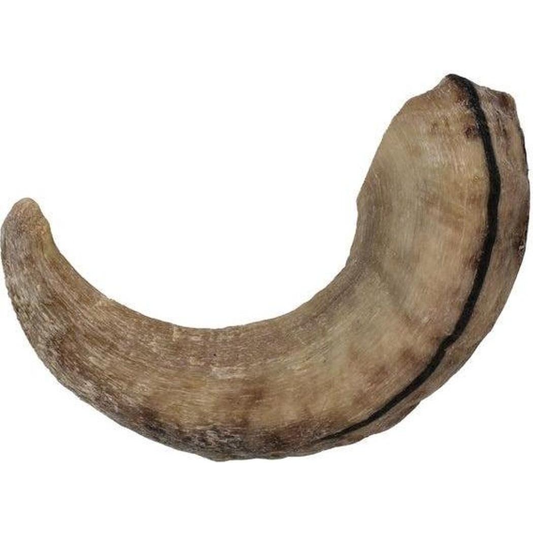 Icelandic+ Large Lamb Horn Dog Treat-Pets - Treats-Appalachian Outfitters
