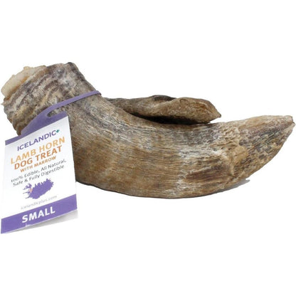 A small Icelandic+ lamb horn dog treat with a purple tag lies on a white background.