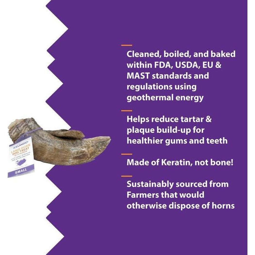 A small Icelandic+ Small Lamb Horn with Marrow treat on a purple background with text about its features.