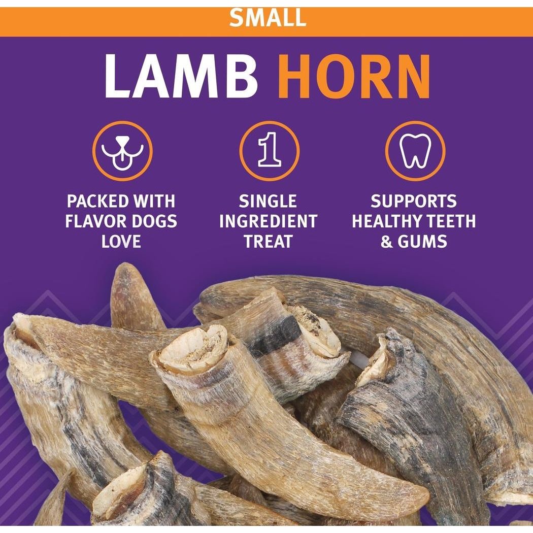 Icelandic+ Small Lamb Horn with Marrow-Pets - Treats-Appalachian Outfitters