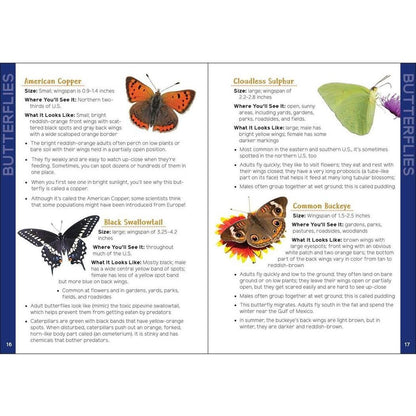 Two pages of a book titled "Insects & Bugs for Kids" show colorful butterfly photos with descriptions.