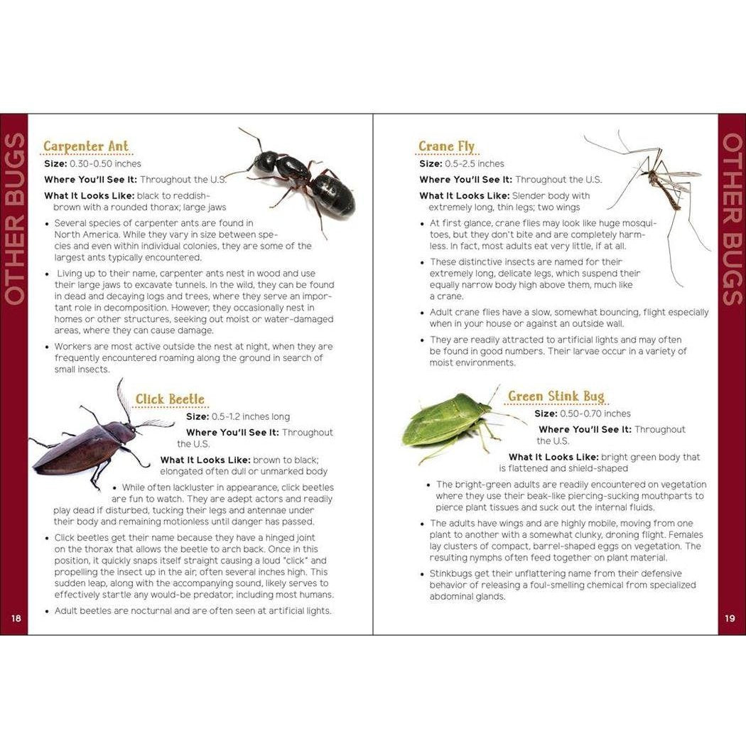Insects & Bugs for Kids-Books - Books-Appalachian Outfitters