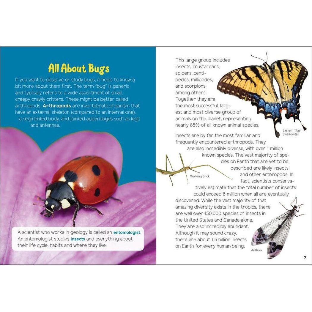 A book titled "All About Bugs" with a ladybug on the cover and insect photos on the right page.