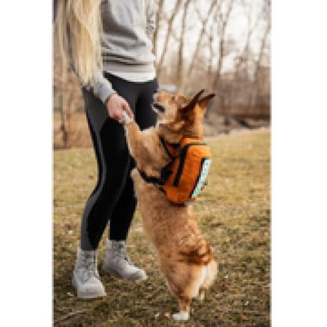 K9 Sport Sack Walk-on with Harness & Storage-Pets - Packs-Appalachian Outfitters
