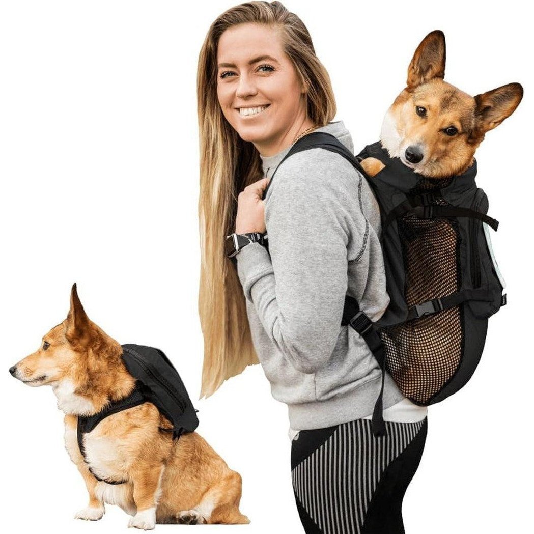 A woman wears the Anthracite Black K9 Sport Sack Walk-on with Harness & Storage on her back while a corgi sits nearby.