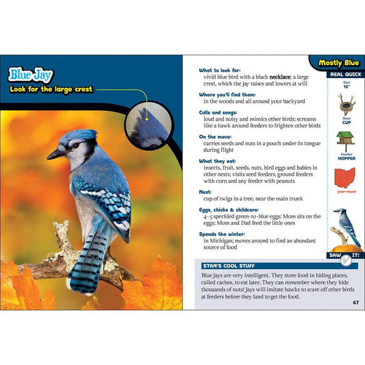 Kids' Guide to Birds of Ohio-Books - Books-Appalachian Outfitters
