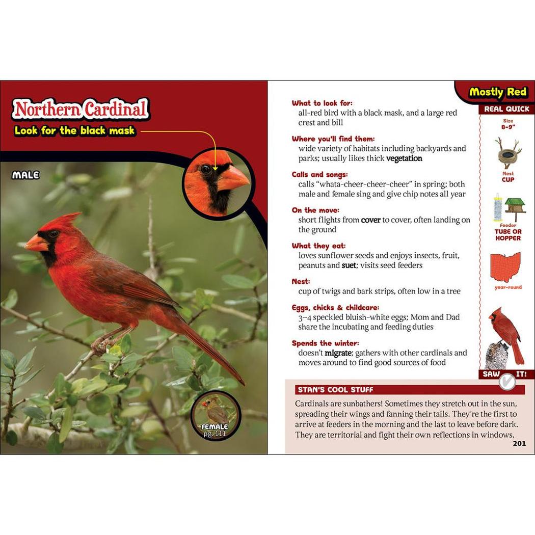 A photo of the "Kids' Guide to Birds of Ohio" book showing a Northern Cardinal page with a red bird on a branch and text details.