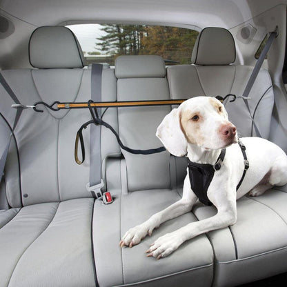 Kurgo Auto Zip Line with Leash/tether-Pets - Travel - Car Accessories-Appalachian Outfitters