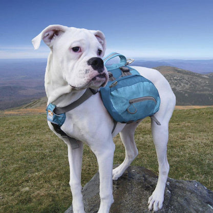 Kurgo Big Baxter Pack-Pets - Packs-Appalachian Outfitters