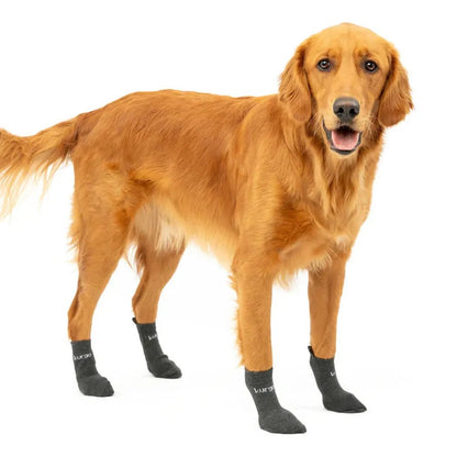 Kurgo Blaze Dog Socks-Pets - Apparel-Appalachian Outfitters