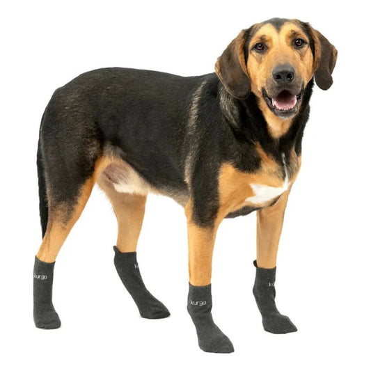 Kurgo Blaze Dog Socks-Pets - Apparel-Appalachian Outfitters