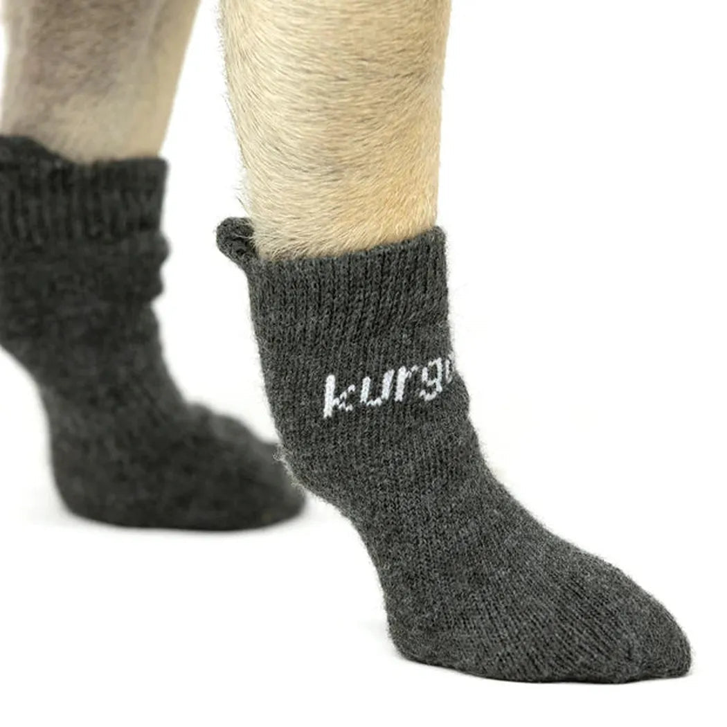 Kurgo Blaze Dog Socks-Pets - Apparel-Appalachian Outfitters