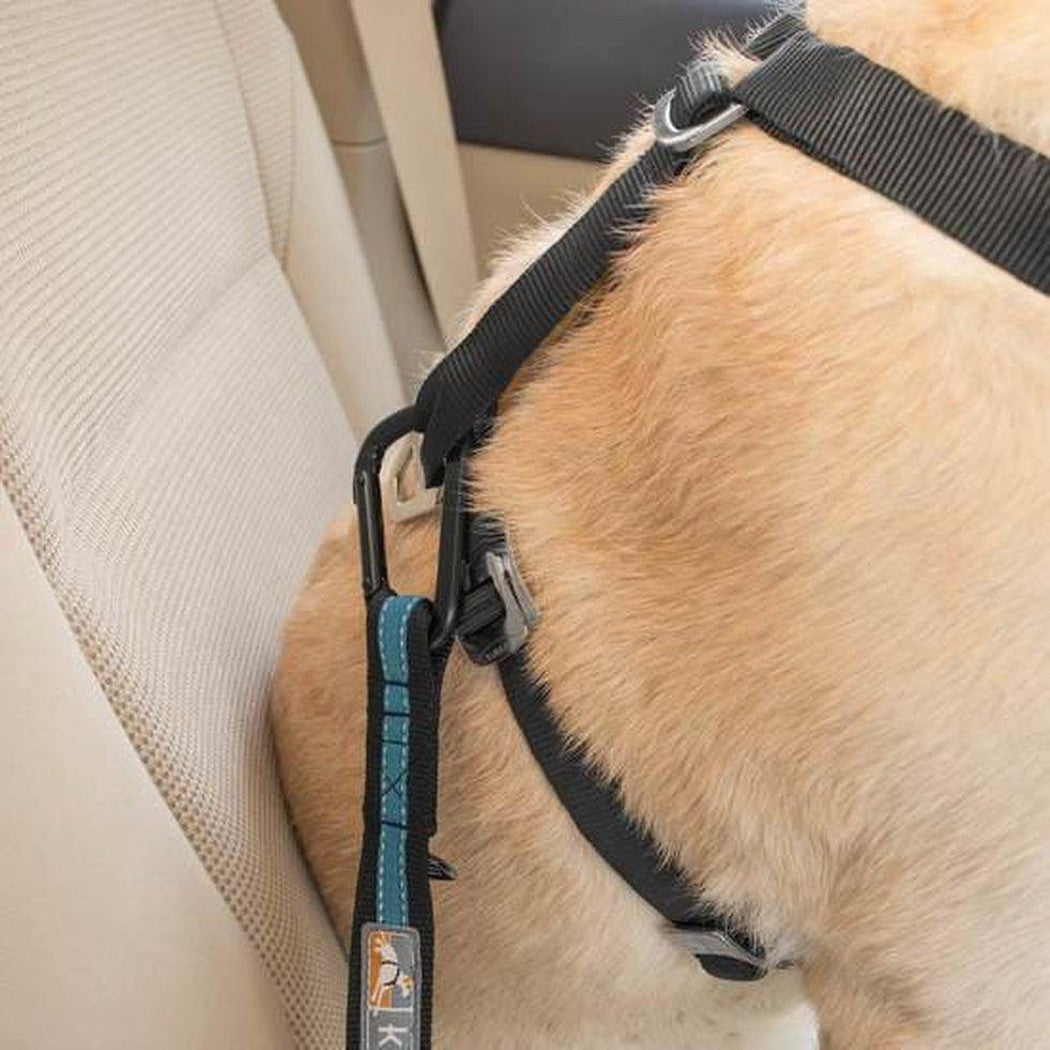A close-up of a dog wearing the Kurgo Direct To Seatbelt Tether in Coastal Blue, attached to a car seatbelt, with a beige car seat in the background.