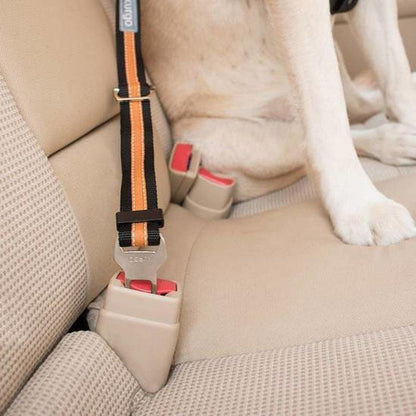 A Kurgo Direct To Seatbelt Tether in Coastal Blue is attached to a car seatbelt buckle with a dog sitting nearby.