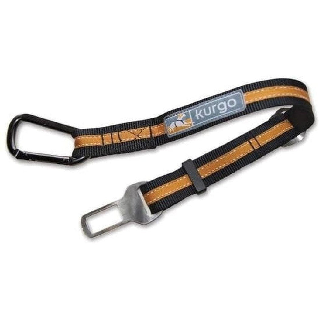 A side view of the Kurgo Direct To Seatbelt Tether in Coastal Blue showing the car seatbelt clip and carabiner against a white background.