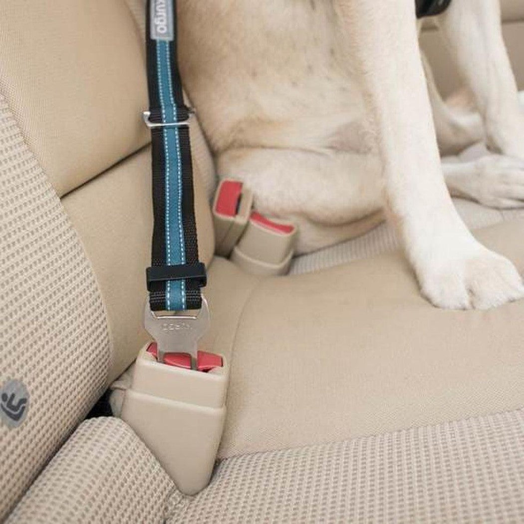 A Kurgo Direct To Seatbelt Tether in Coastal Blue is shown attached to a car seatbelt buckle with a dog sitting nearby.